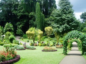botanical-garden